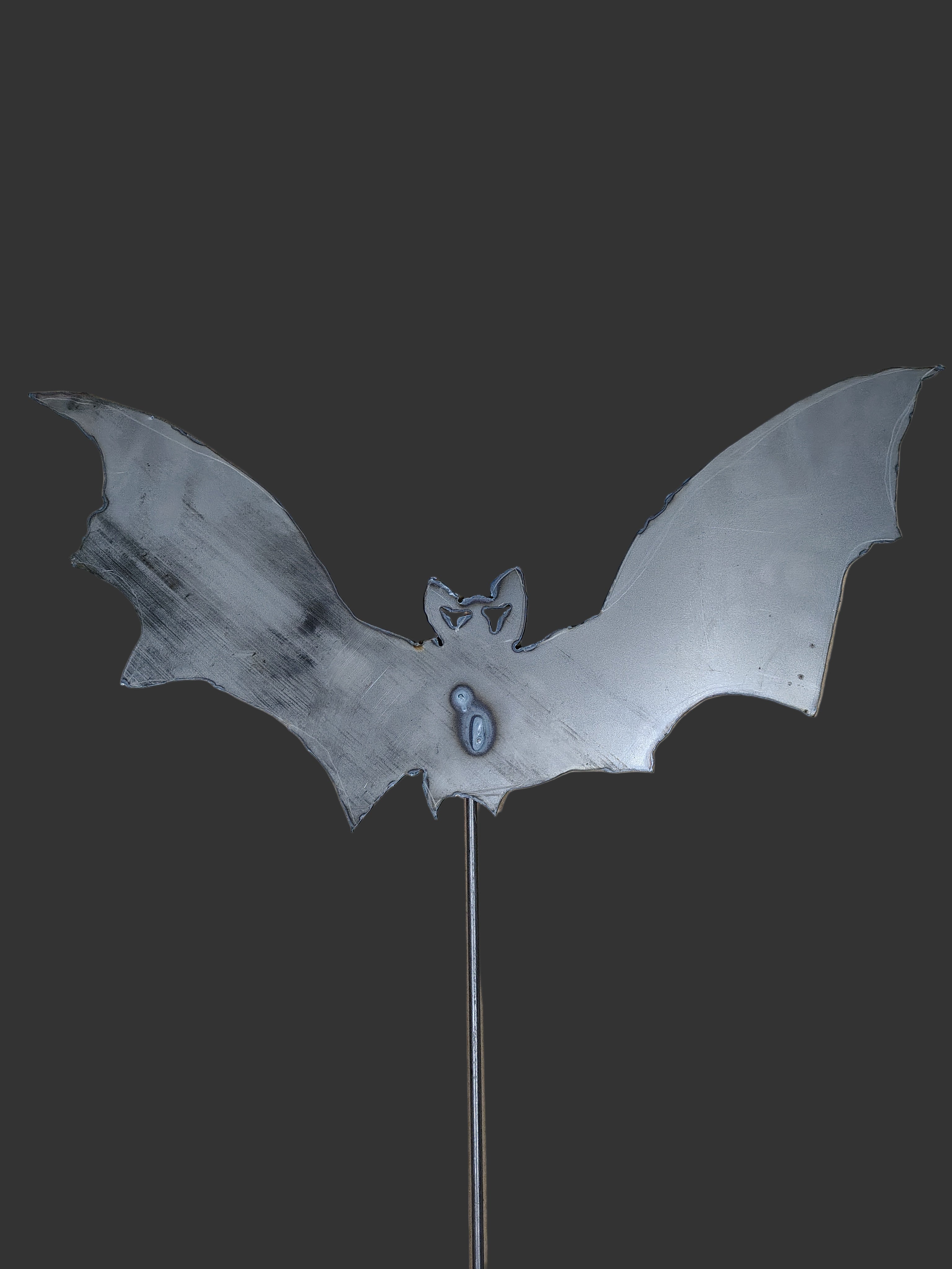 Bat