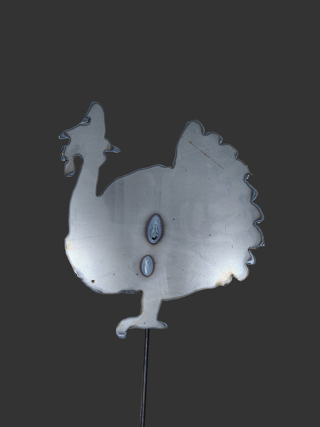 Turkey Pilgrim