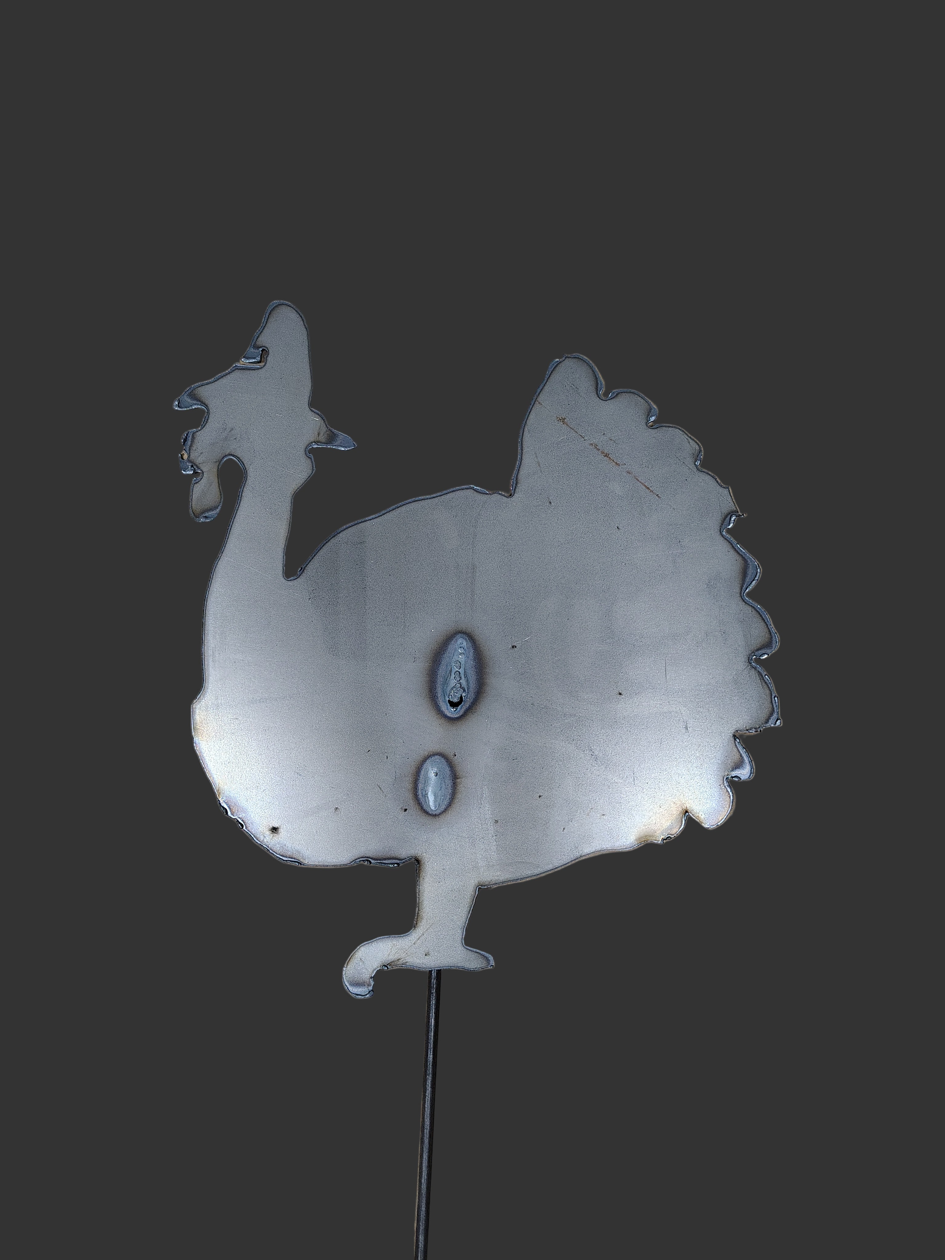 Turkey Pilgrim