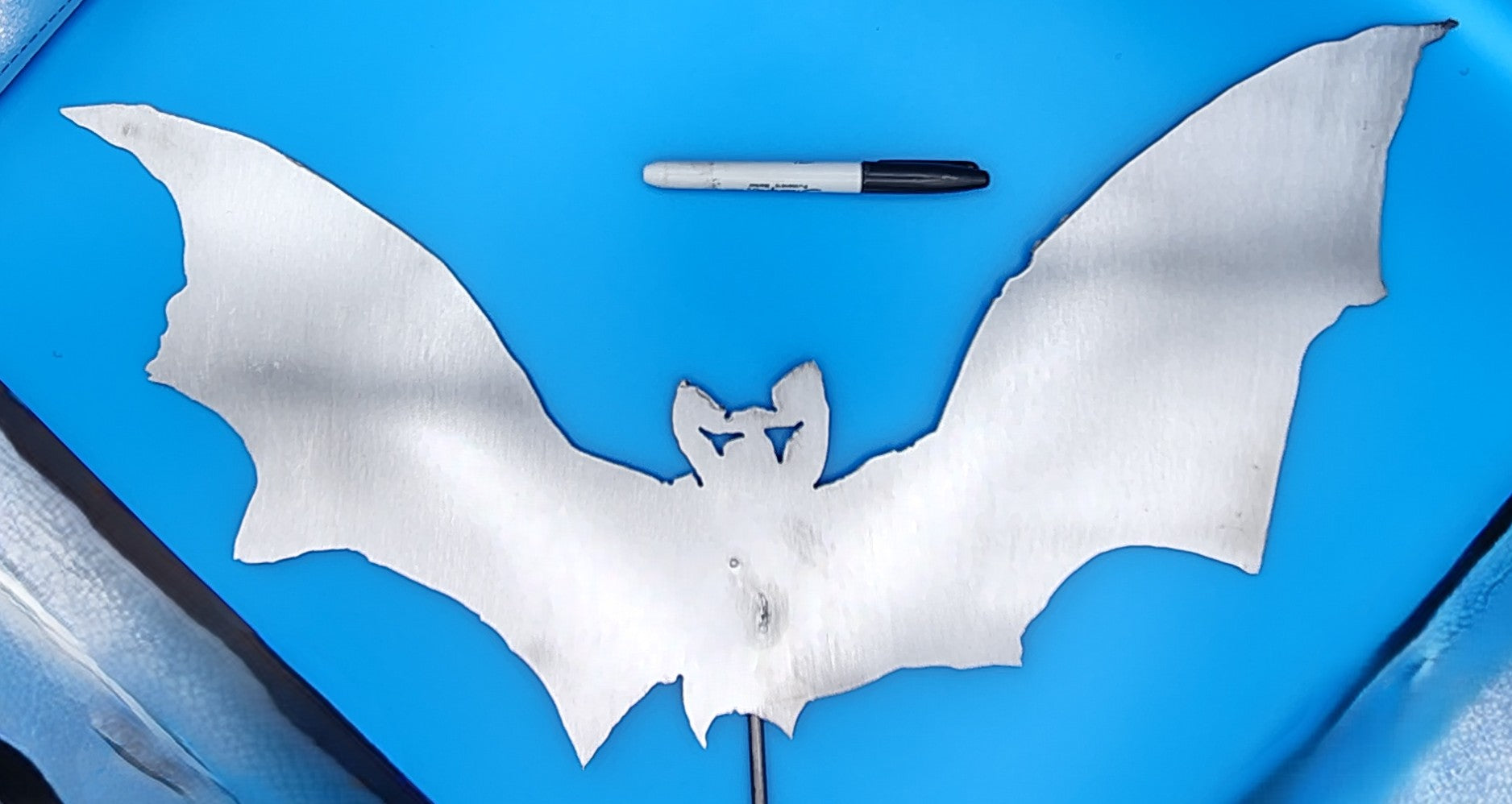 Bat