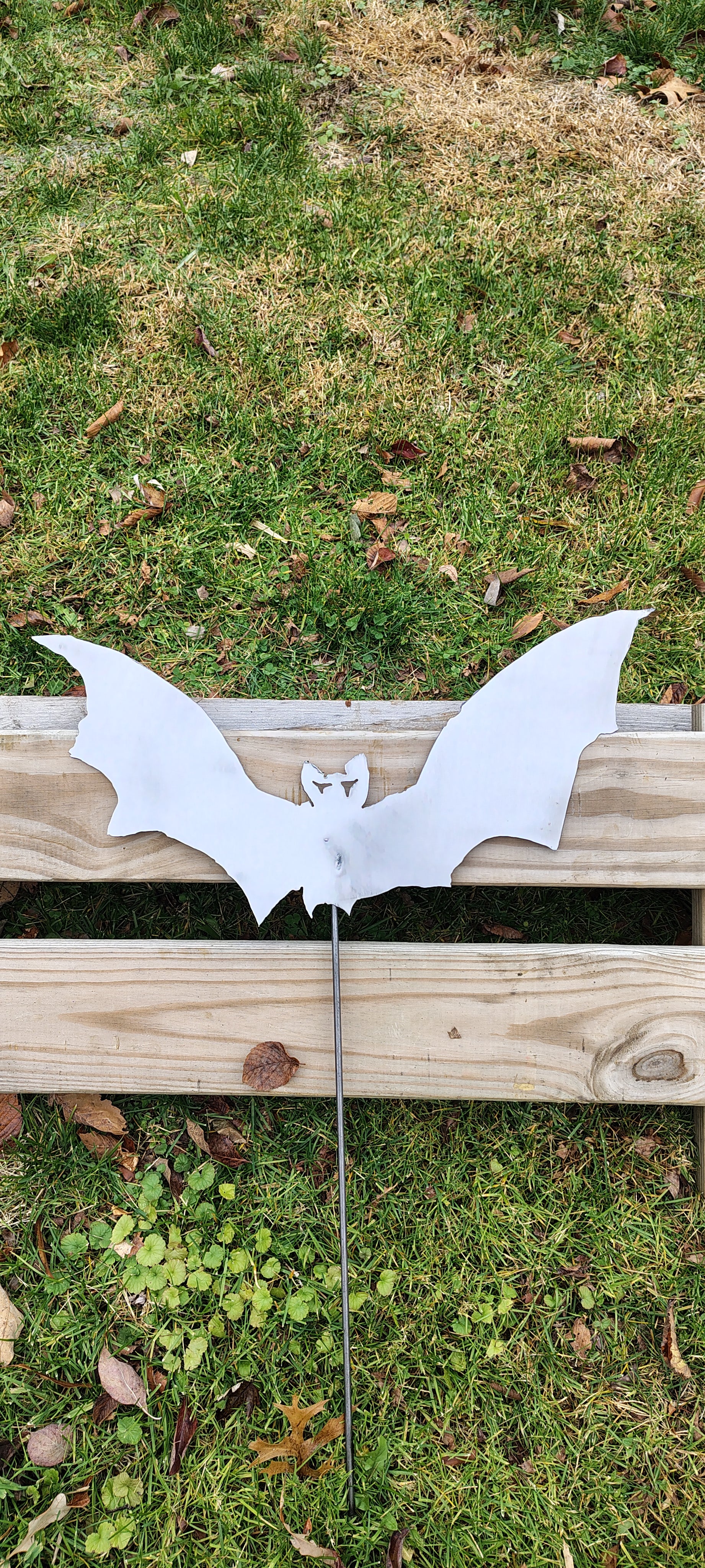 Bat